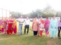 Diwali Celebration